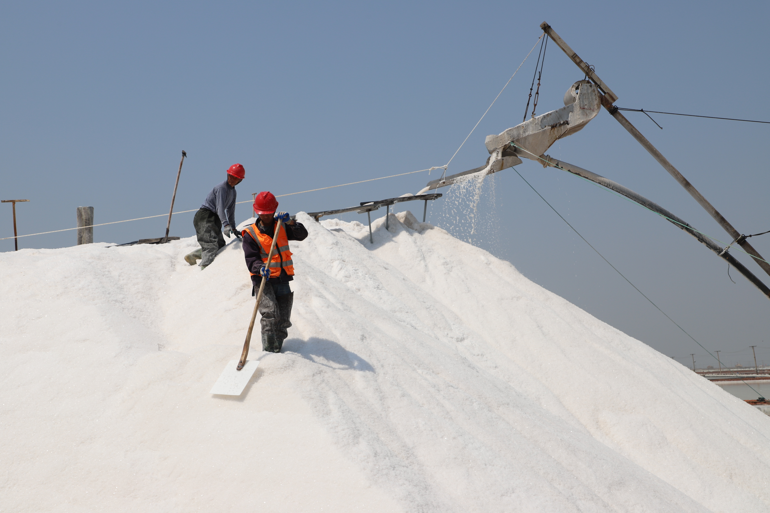 IMG_8868.JPG IMG_8868.JPG